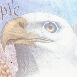 Meet your Posher, Andreas